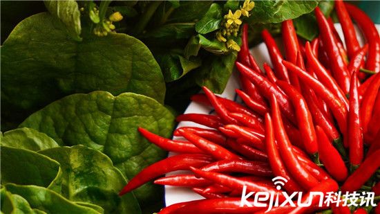 中國十大最臟果蔬排行 葡萄含有15種農(nóng)藥成分!